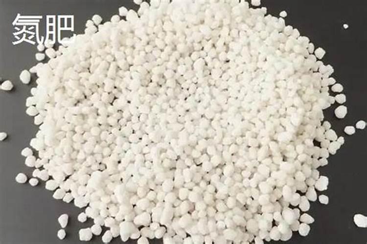 金太龙叶面肥专用哪些植物