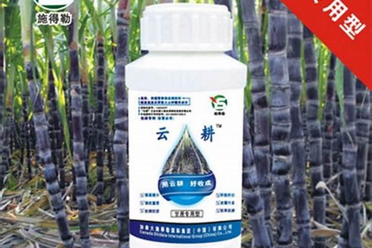 蝴蝶兰的肥料有那些？？