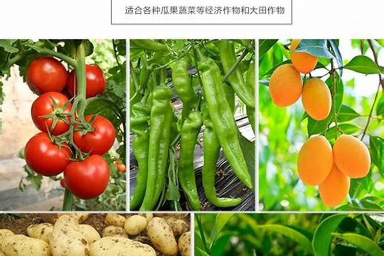 土豆几月份用肥,用什么肥料好？