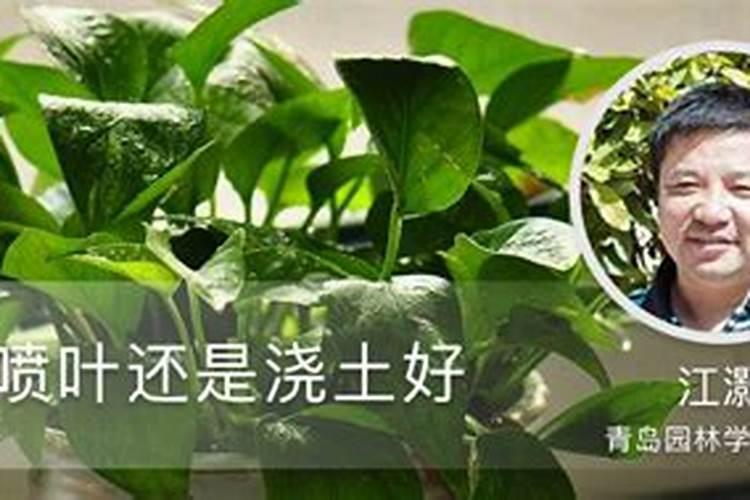 钢铁热风炉干到55退休年龄