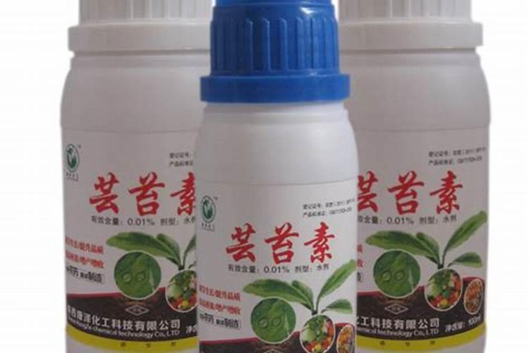 微生物菌剂加芸苔素的作用