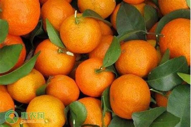 卧里屯简介