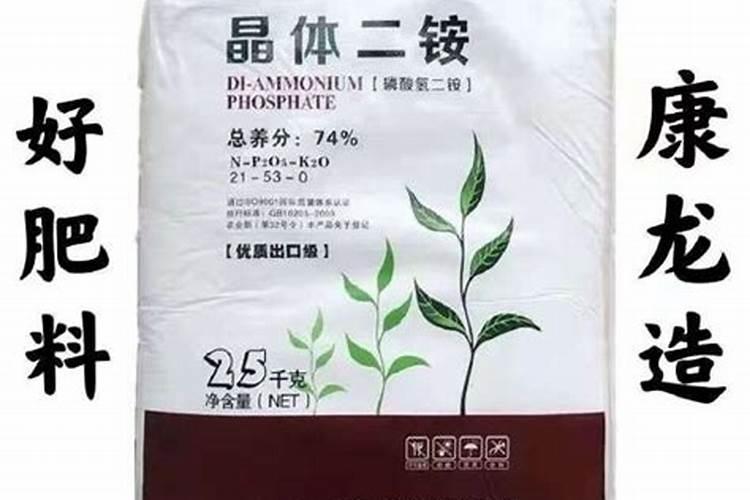 玉米啥时候打芸苔素？