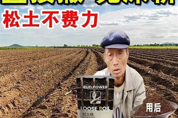 石榴施什么肥最好