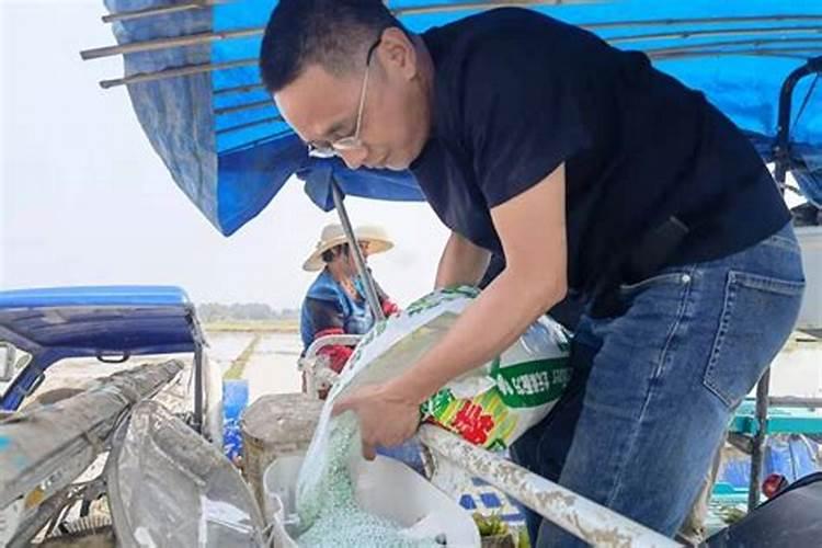 农业股现批量涨停 农业概念股有哪些