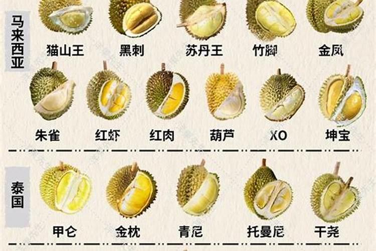 榴莲放什么肥料生长快？