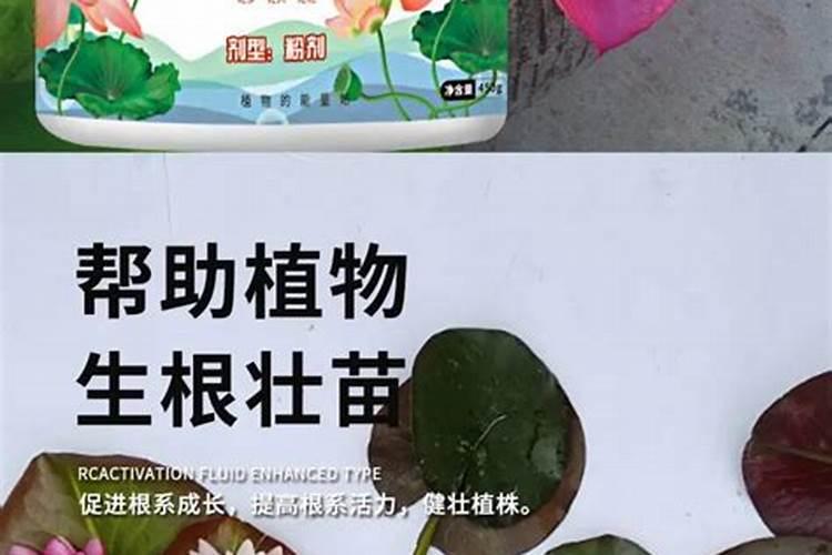 天然的磷钾肥有哪些 养花就靠他们了