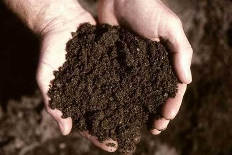 钾素肥料中钾含量的测定公式 钾肥中钾含量的测定方法