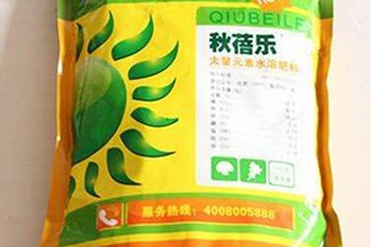硼肥简介及详细资料
