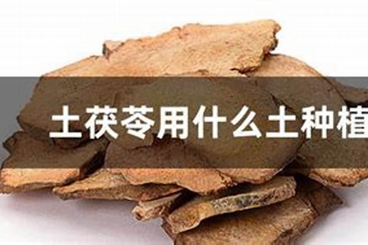 黄芩用什么除草剂？