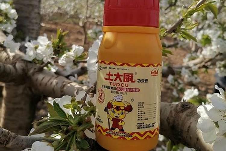 植物开花适合用什么肥料