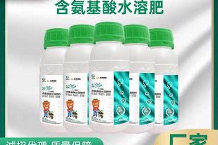 氨基酸叶面肥果树涂杆枝术怎么操作？