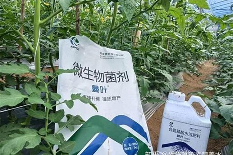 钾肥和钙肥可以混用吗