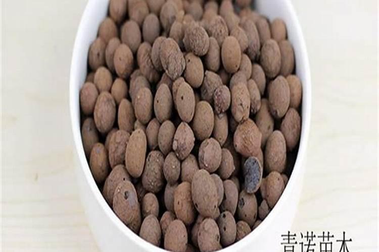 新手草缸,有了水草泥还需要加底肥吗