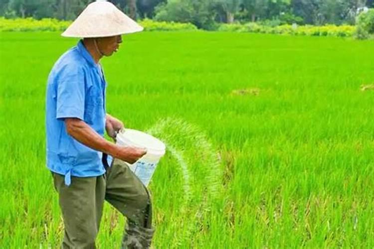 水溶肥是一种新型的肥料,这种肥料比较适合什么农作物？
