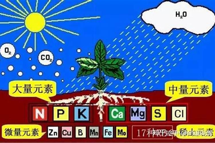 山东阳谷鲁中化肥有限公司怎么样？