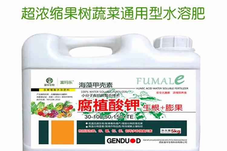 多雨季节,温室大棚蔬菜如何管理？