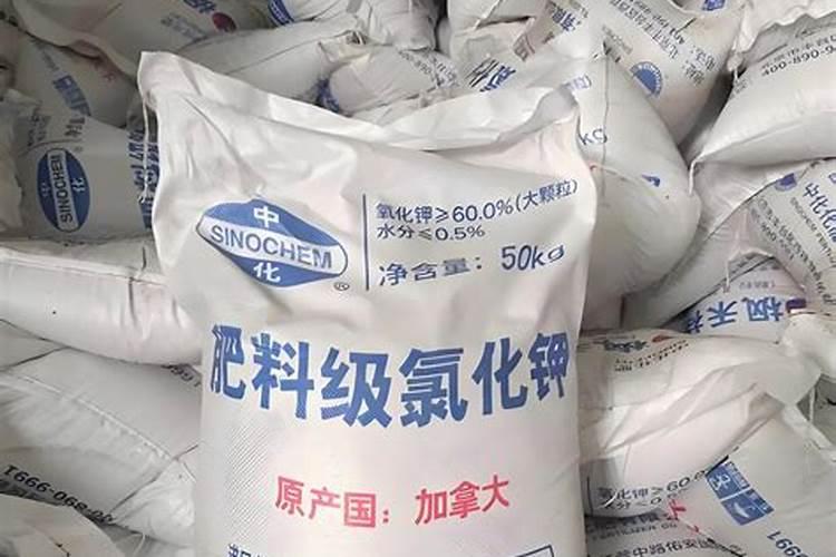 钾肥一亩地上多少 关于钾肥的信息简介