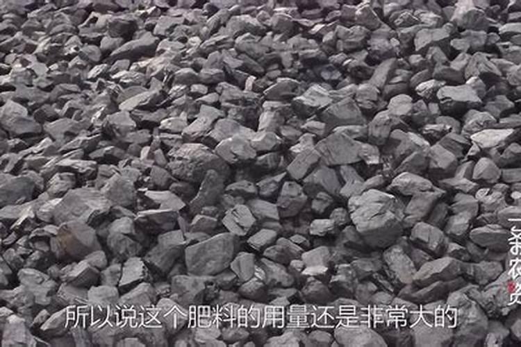 哪种土最适合种多肉