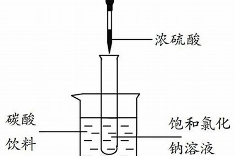 尿素和氮肥有什么区别