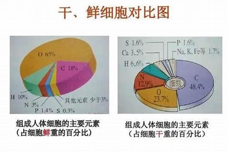 豆饼水要泡到什么样子