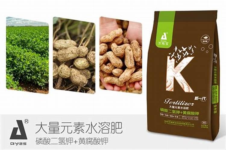 花生种植要多施钙肥,是为何？