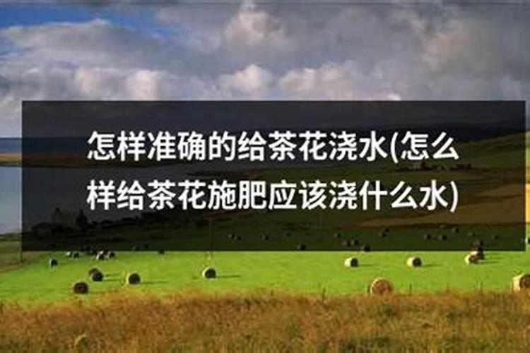 纯硫基复合肥缺点