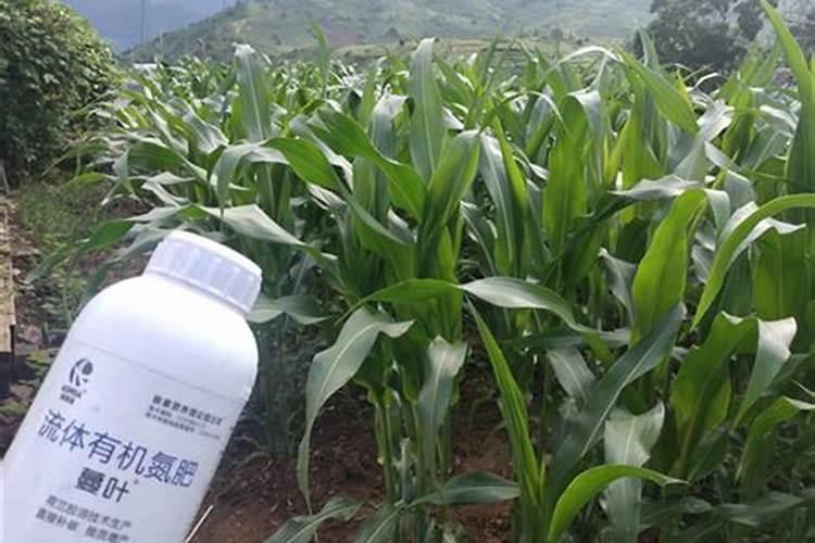 磷钾肥是什么肥 磷钾肥有哪些类型 磷钾肥的作用