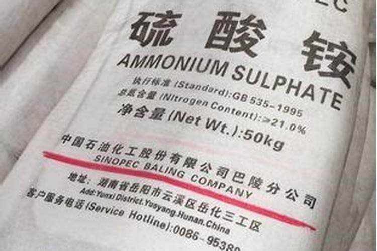 在种植大蒜时,都有哪些肥料不能用？为什么？