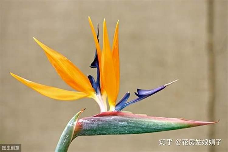 水溶肥怎么做