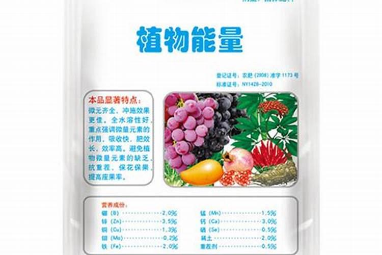  medley什么意思