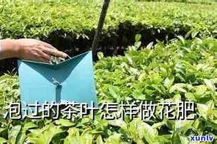 一种农药,药液与水的质量比是1:1000。5g药液需要加多少㎏水配制？8008...