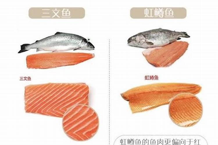 苹果树的浇水方法
