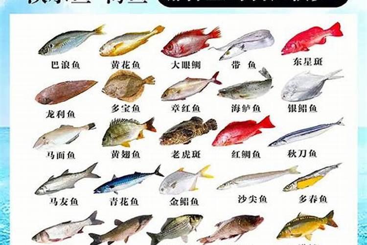 鱼豆腐是什么原料做成的？