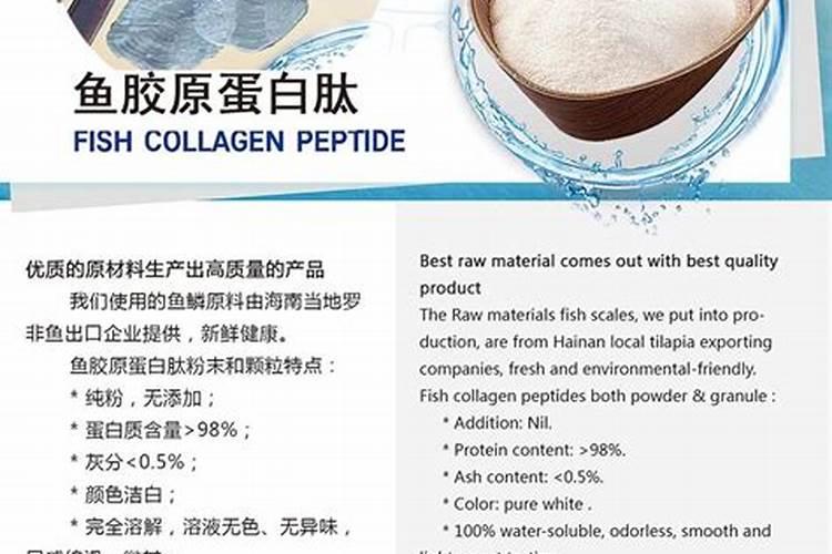 鱼的蛋白质含量