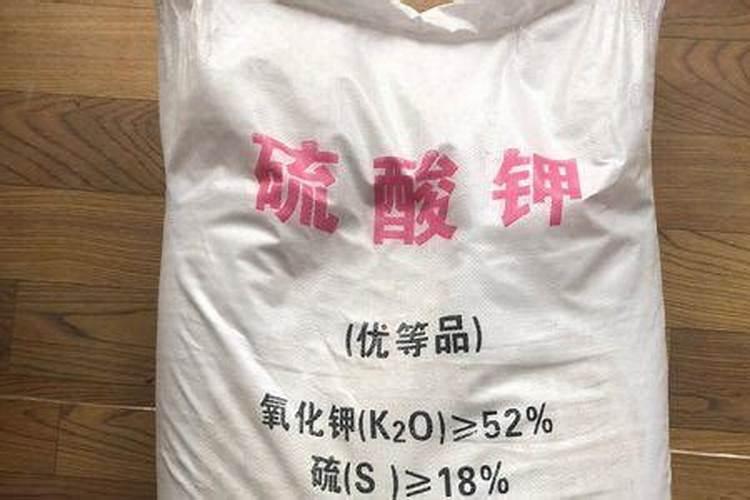 海水稻种植成功是在什么时候