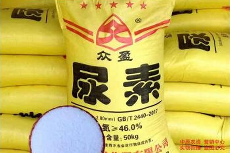 立秋后养花需注意什么？