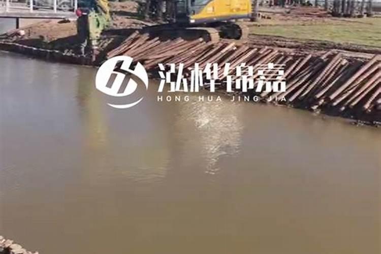 竹笋高产种植技术要点 竹笋怎么施肥