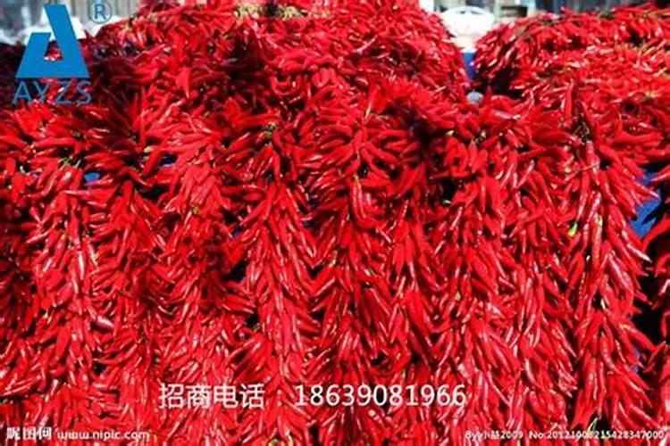 辣椒施肥,要哪种肥比较好