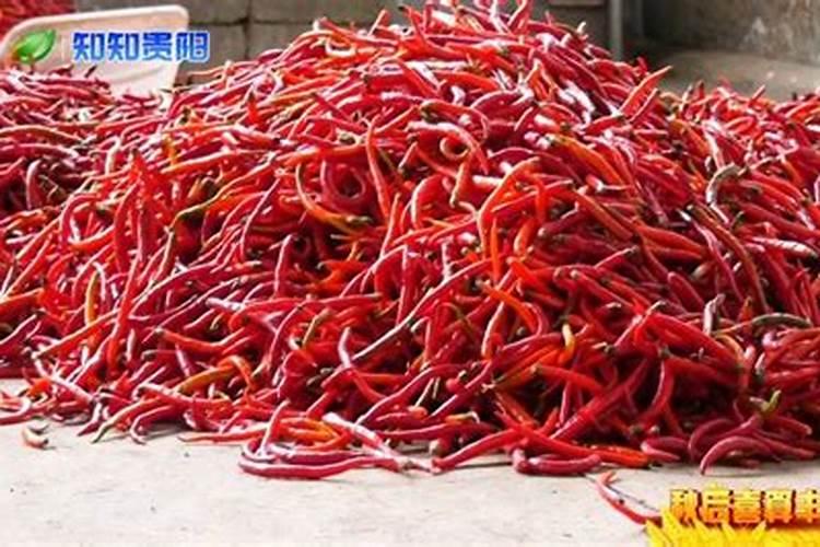 辣椒专用肥料制作方法