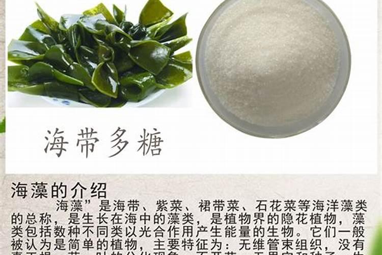 海藻有什么作用的
