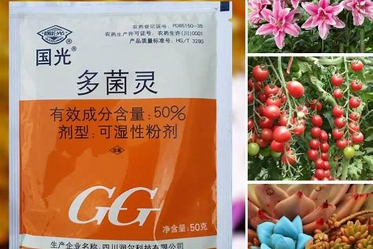 买花赠送的复合肥是什么肥料,花卉用什么复合肥最好