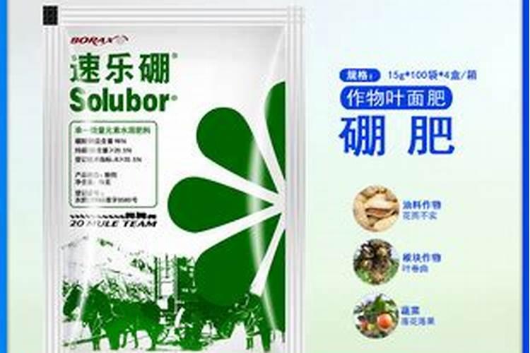 7年苹果树六月份追什么肥