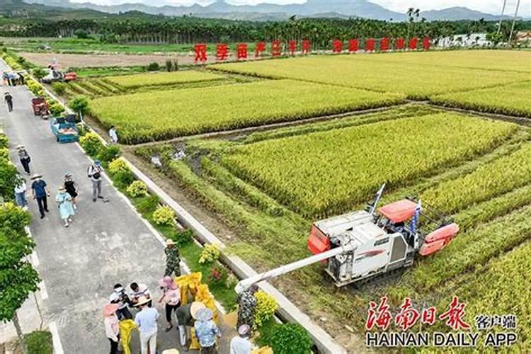 硫酸钾复合肥溶于水吗？可以用作水溶肥吗？