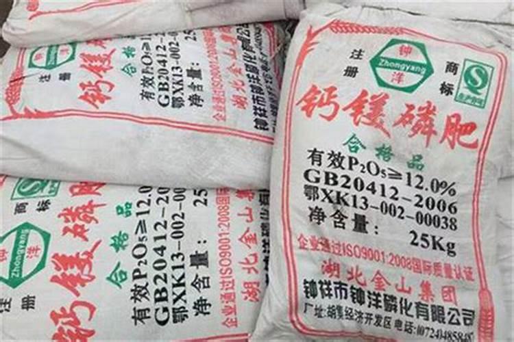 双季槐施什么肥最好