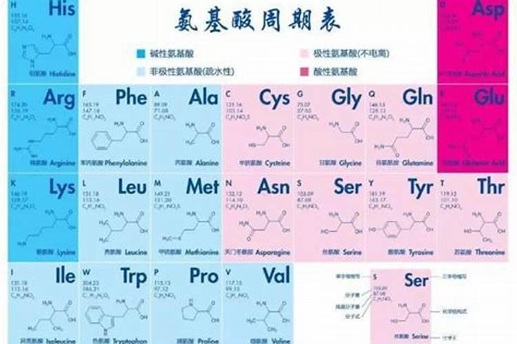 花生壳怎么发酵养兰花