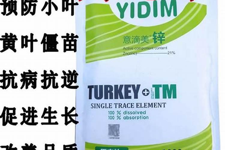 看看我的西红柿到底是什么病叶子上的黑点一天比一天多怎么办？