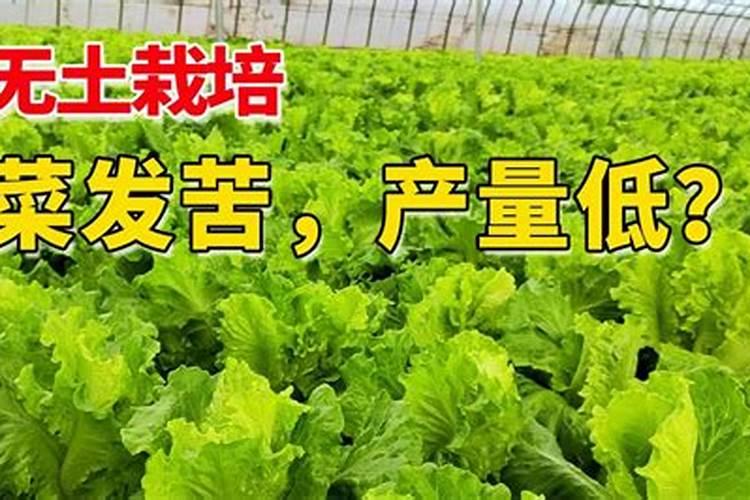 地黄底肥用什么肥料？