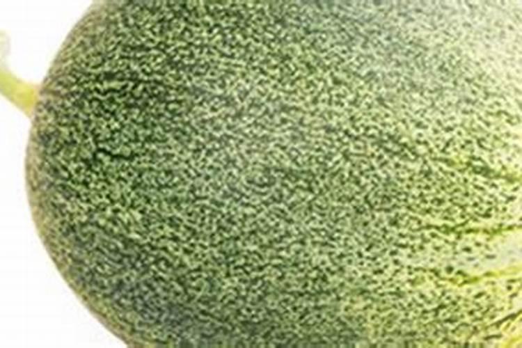 甜瓜苗期可以喷叶面肥吗？
