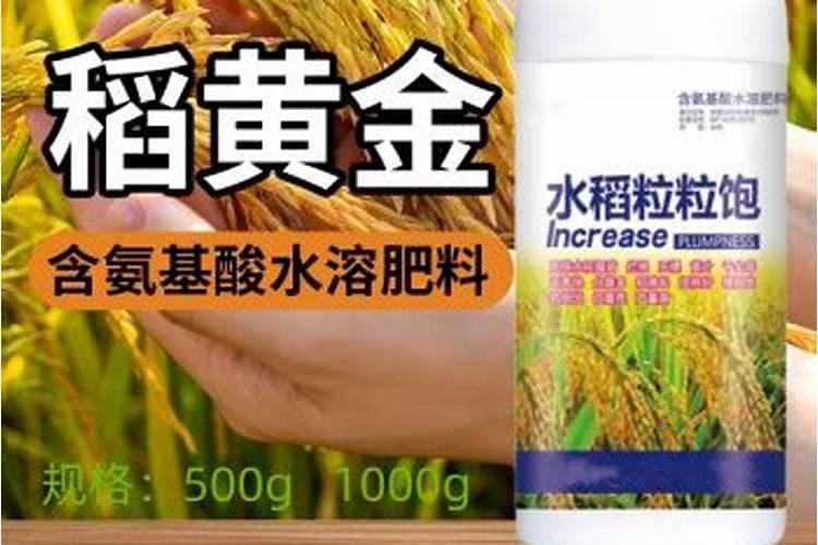 水稻分蘖期喷什么叶面肥好